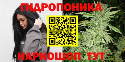 эйфоретик Усть-Джегута