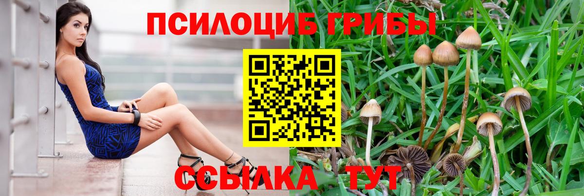 Нефтеюганск  Галлюциногенные грибы мухоморы  Галлюциногенные грибы мицелий  Вход с VPN 